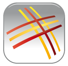 Logo der DS Net Media